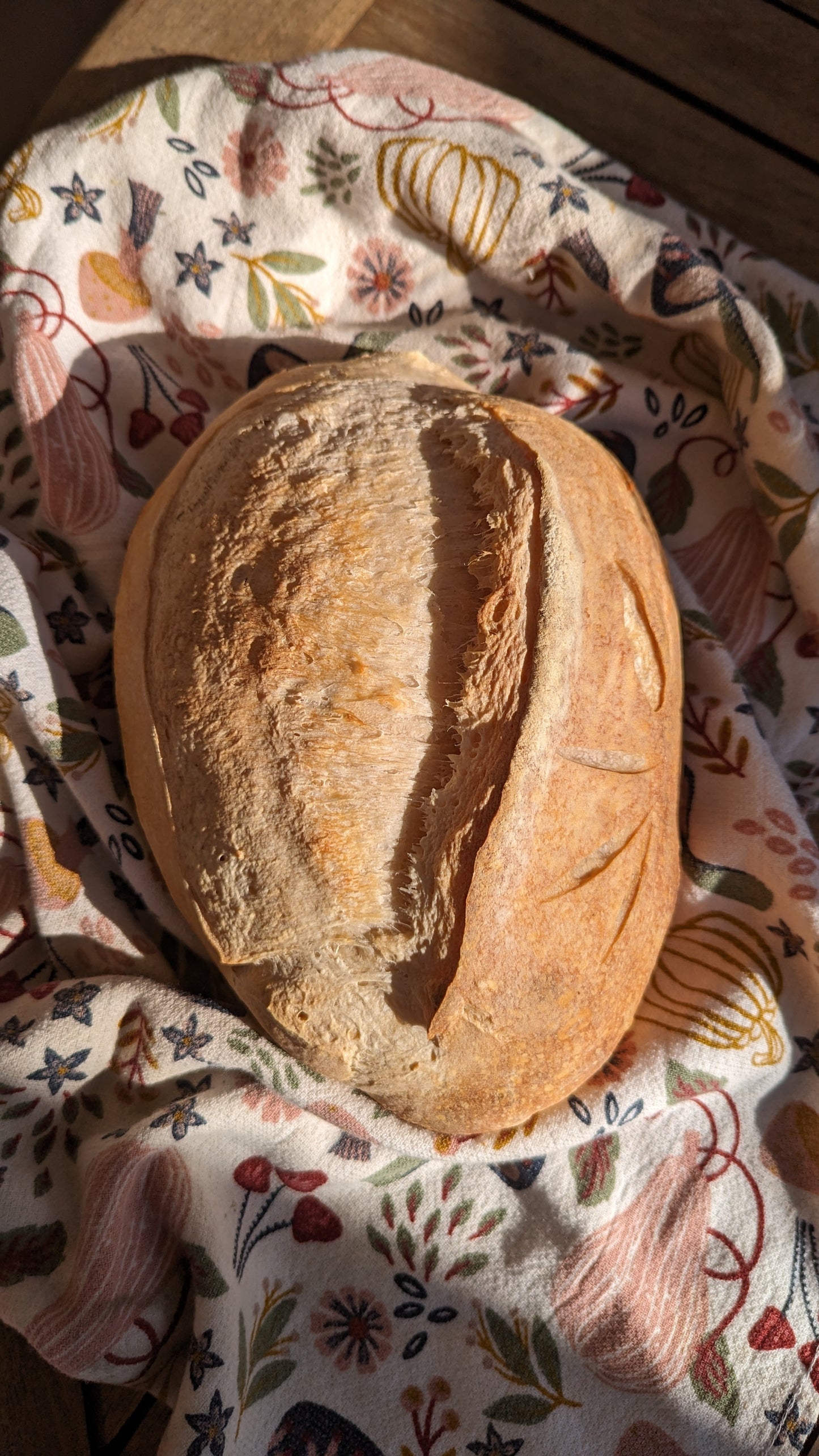 Sourdough Loaf
